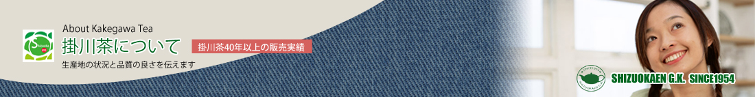 当店販売商品の掛川茶の紹介