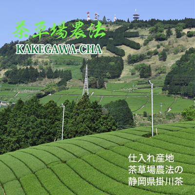 茶草場農法の東山