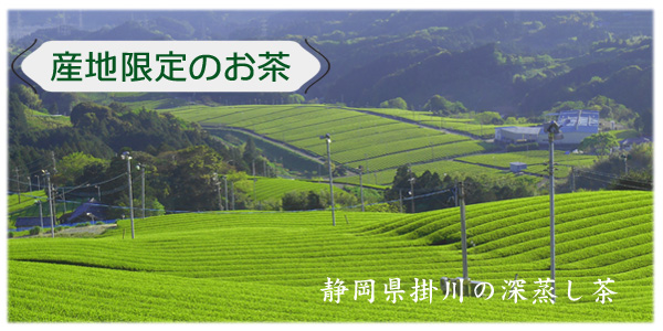 産地限定で掛川茶を主力に販売しています