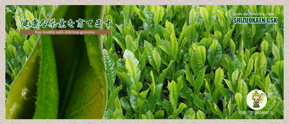 静岡県深蒸し掛川茶の合資会社 静岡園広報ページ