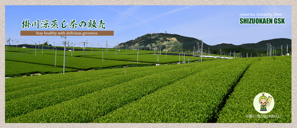 静岡県掛川市の東山の茶畑